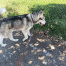 Denver